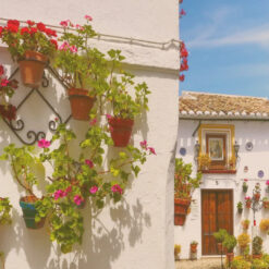 Alternative view of Flores de Priego - Dahlia & Geranium Floral Art Print